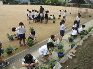 1年