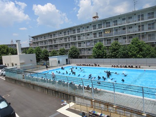 プール