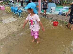 幼小交流