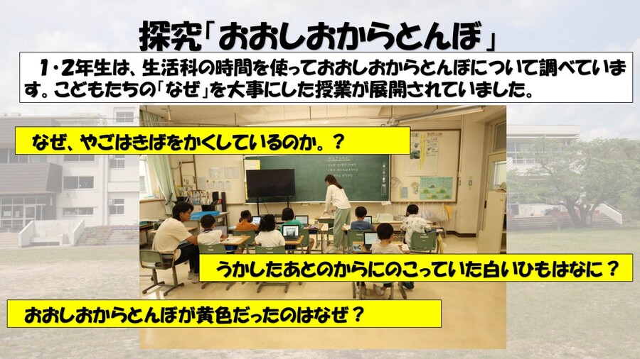 探究「おおしおからとんぼ」