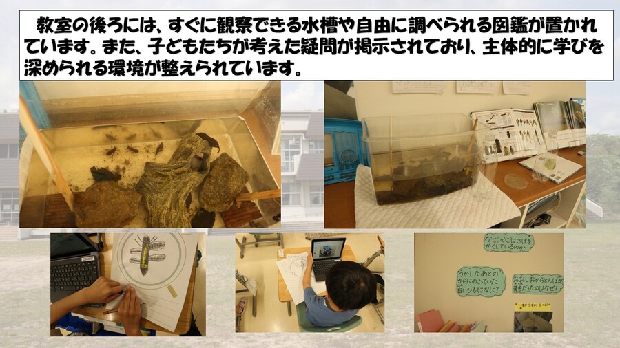 探究「おおしおからとんぼ」