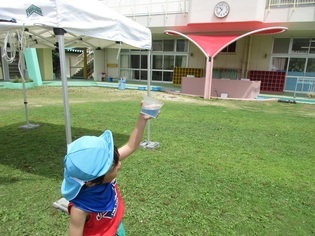 作った色水を見ている子どもたちの写真