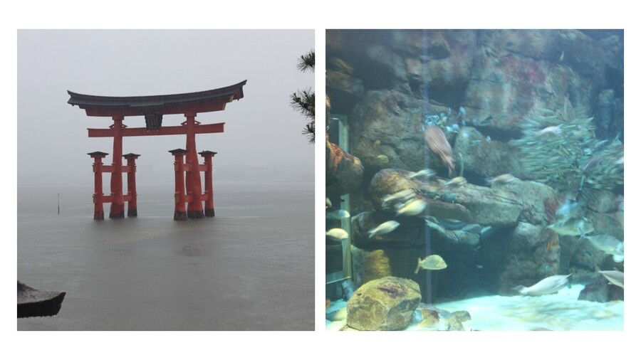 様子1