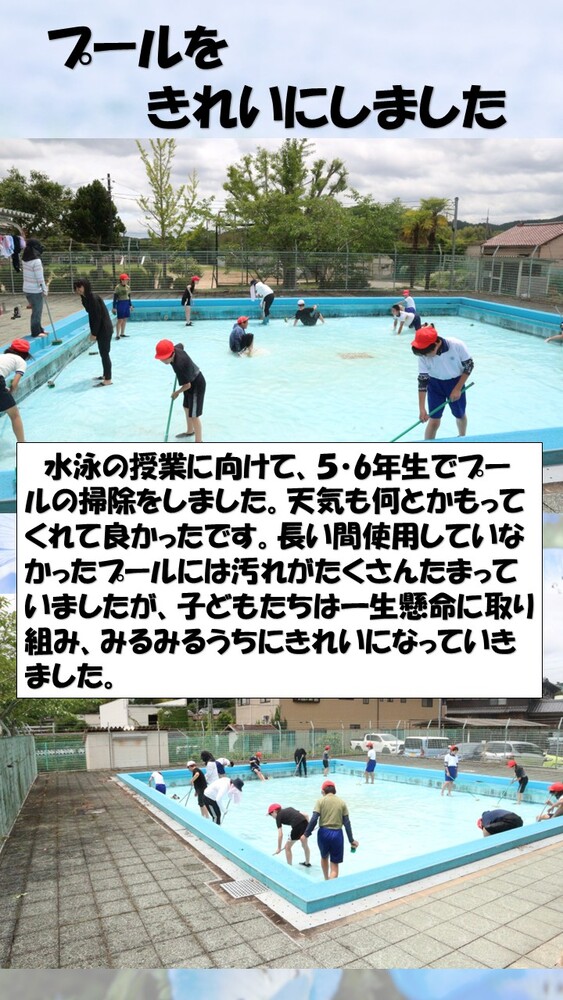 プール掃除