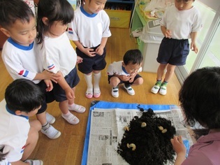 幼虫を見ている子どもたちの写真