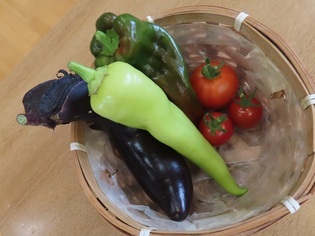 幼稚園で収穫した野菜の写真