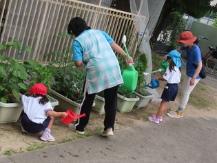 水やりをしている子どもたちの写真