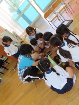 何かを見付けた子どもたちと先生の写真