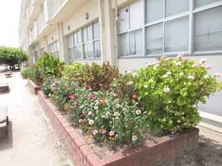 花壇