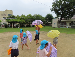 雨をたのしもう