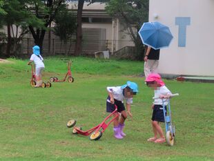 雨をたのしもう