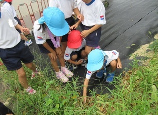 虫探しをしている子どもたちの写真