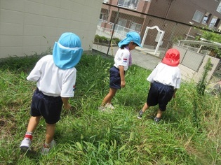虫探しをしている子どもたちの写真