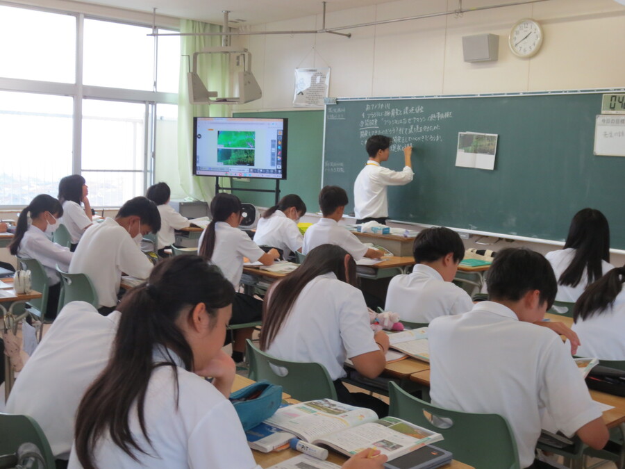 社会実習
