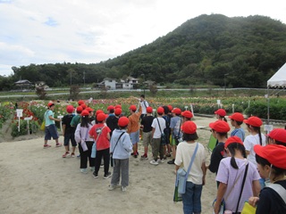 3年
