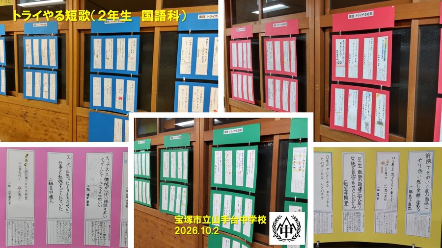 展示の様子