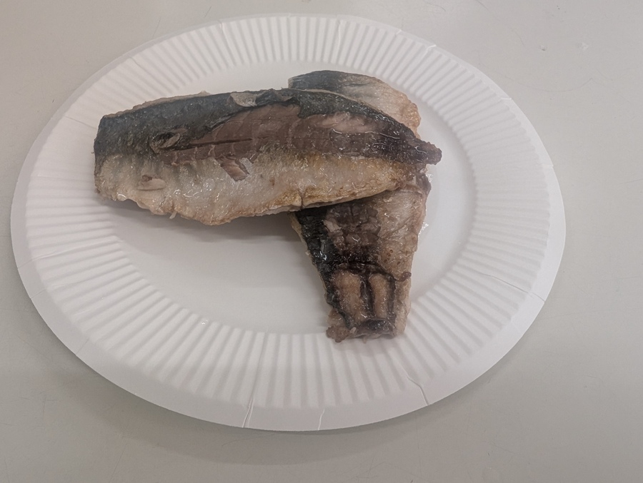 授業