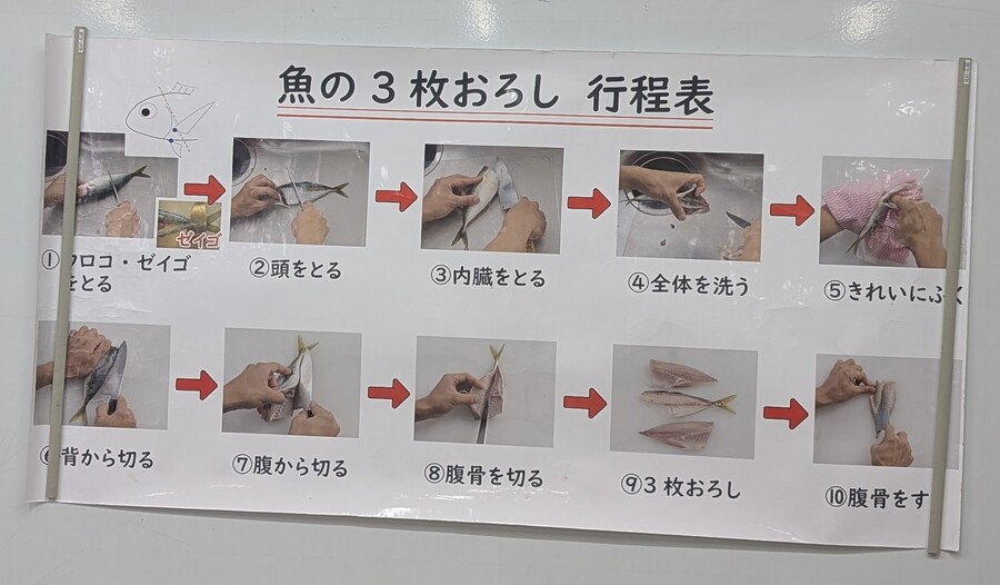 魚