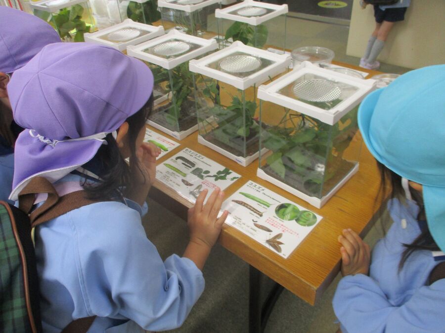 展示